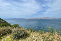 IMG_8688