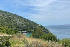 IMG_8689